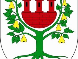 Ilustracja do artykułu XXXII Sesja Rady Miejskiej Międzychodu - 8 listopada