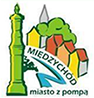 Międzychód - miasto z pompą