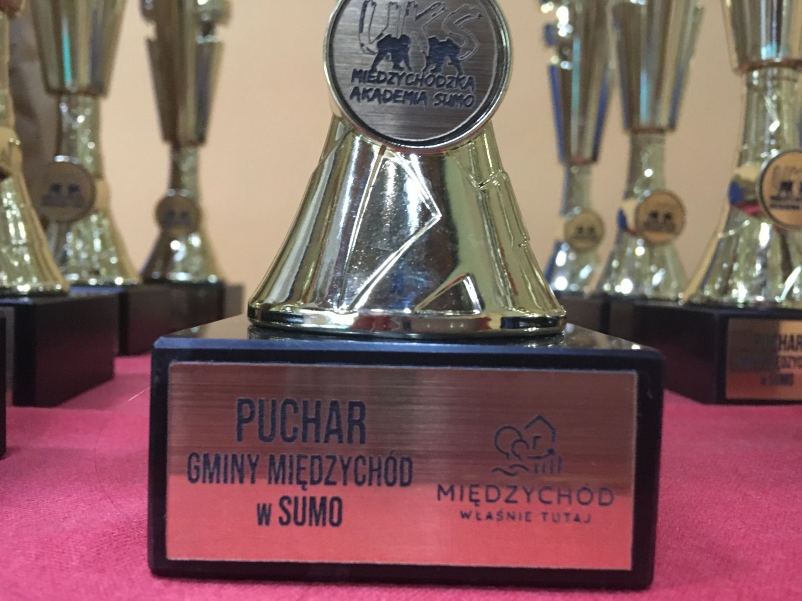 zdjęcie przedstawia puchar