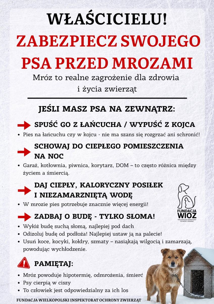 plakat, zabezpiecz psa