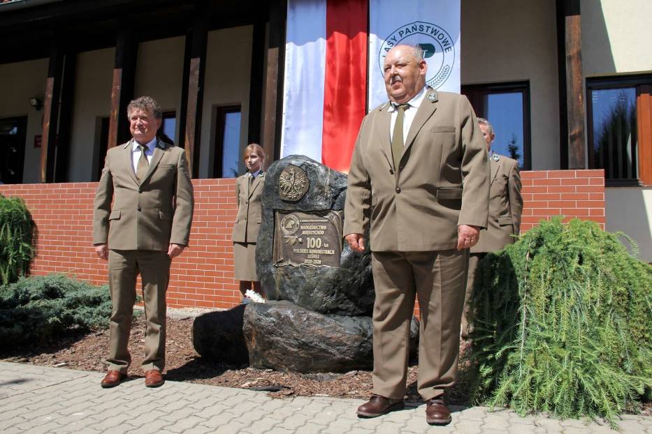 kamień