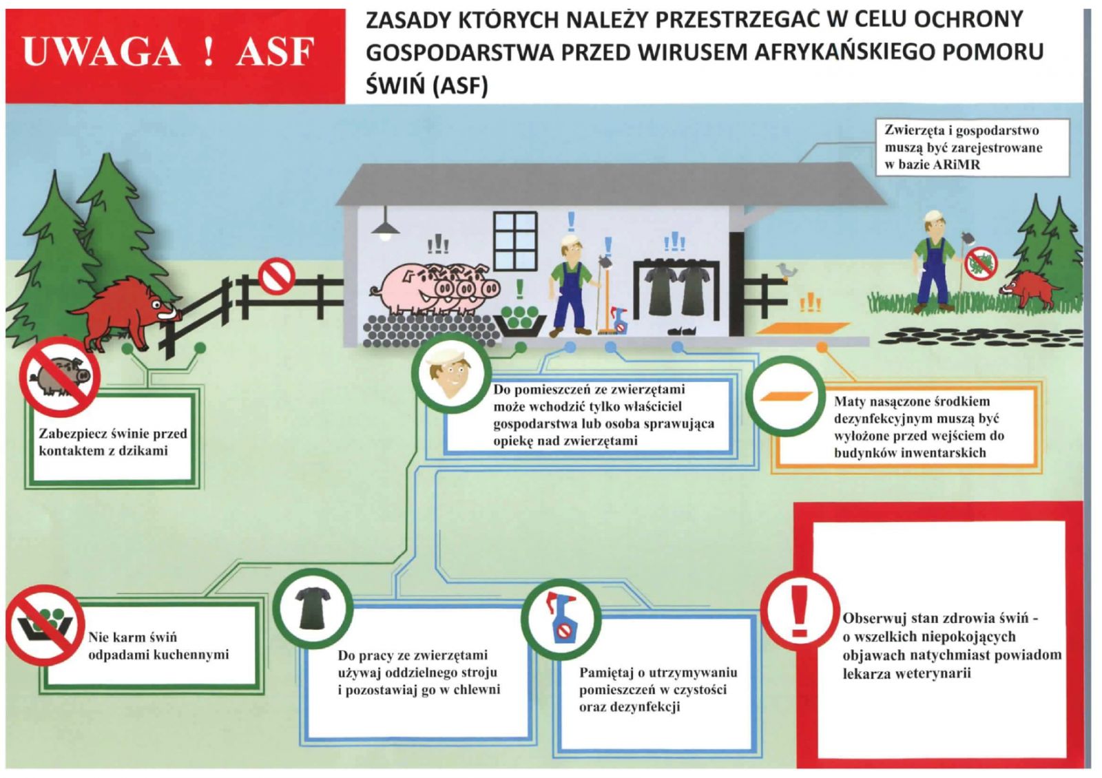 ulotka w formie graficznej prezentująca schemat postępowania prewencyjnego w gospodarstwach w celu ochrony przed wirusem ASF