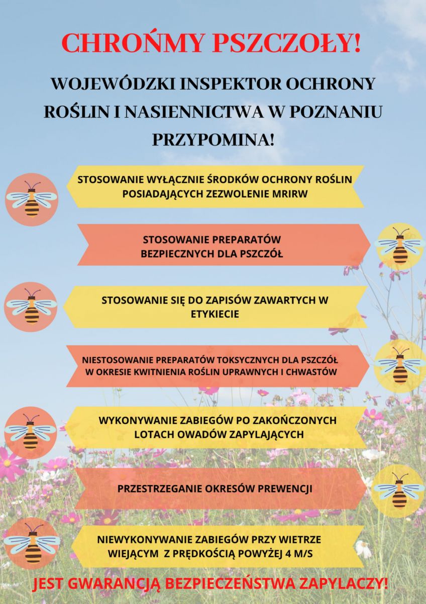plakat chronmy pszczoly