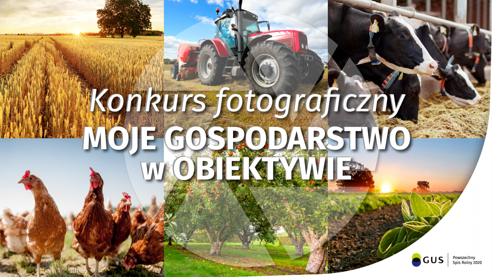 logo - konkurs moje gospodarstwo w obiektywie