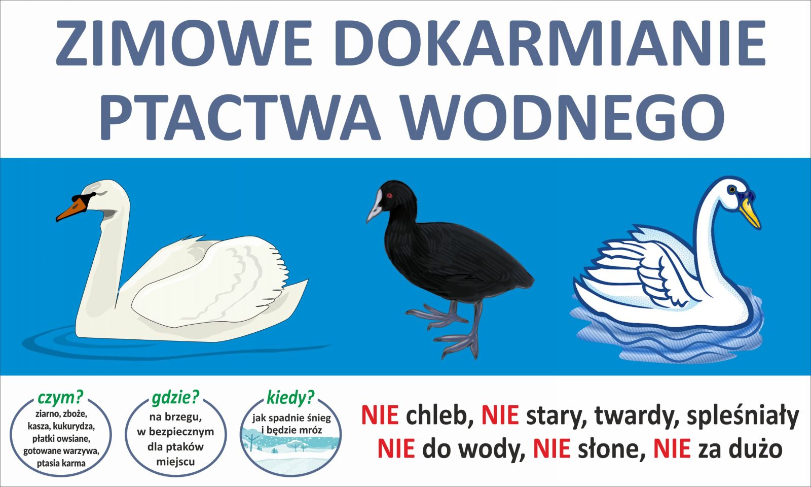 grafika przedstawia zasady dokarmiania ptactwa zimą 