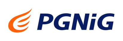 logo pgnig
